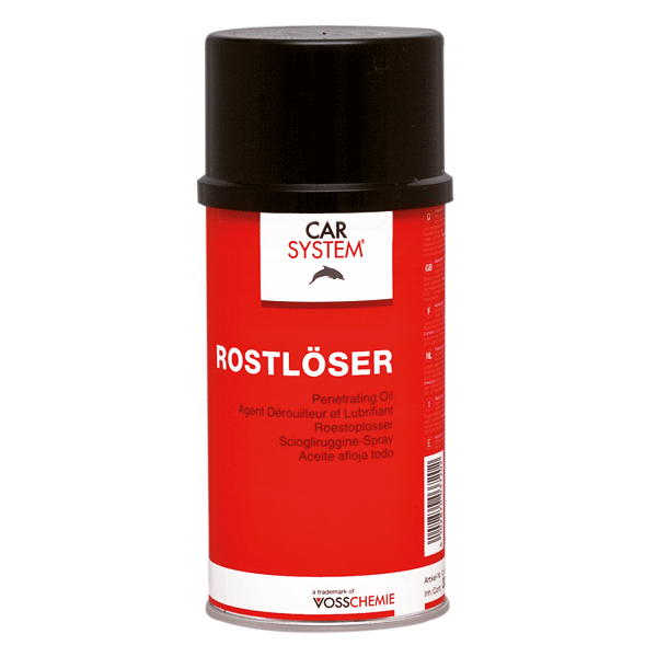 Rostlöser Spray Carsystem